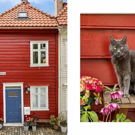 Det Lille Rode Huset Ved Floibanen * Bergen